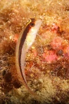 IMG 4501