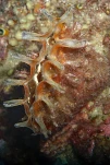 IMG 4554