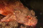 IMG 4384