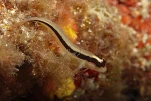 IMG 4593