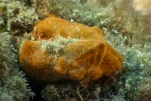 DSC04386