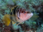 P9180152