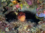 P9190392
