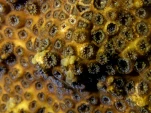 P9200632