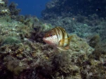P9180142