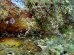 P9200667
