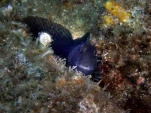 P9190517