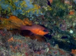 P9190387