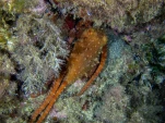 P9180202