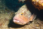IMG 2559