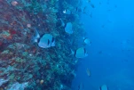 P6280168