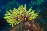 P6280161