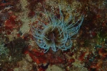 P6280181