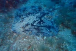P6270119